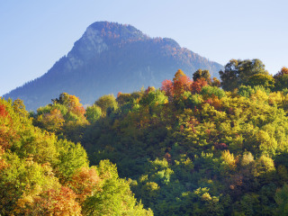 金龙山国家森林公园