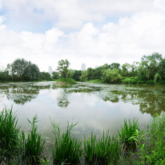 花溪湿地公园