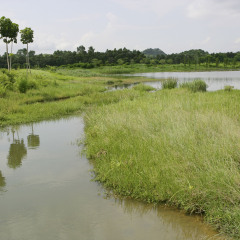 花溪湿地公园
