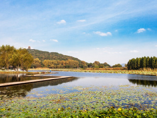蠡湖中央公园