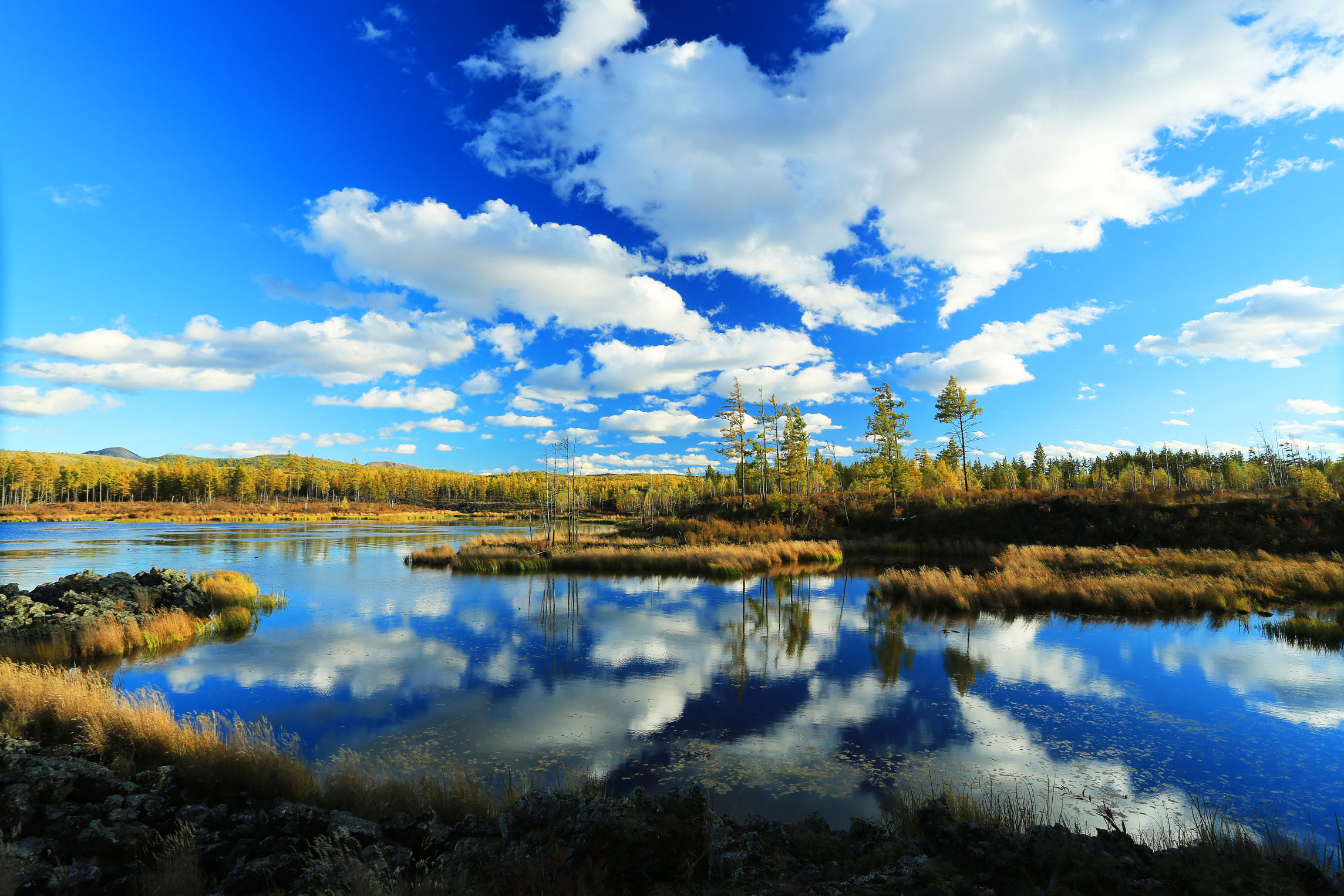 逛童话小镇,欣赏唯美草原