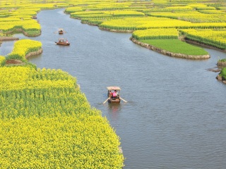 溱湖国家湿地公园