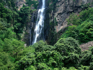 宁波余姚丹山赤水