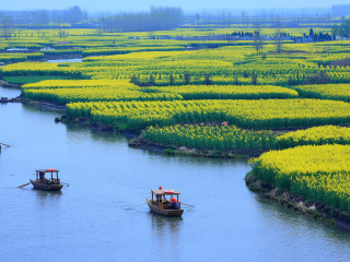 溱湖国家湿地公园