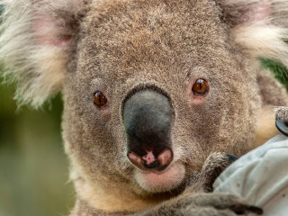 翎羽谷野生动物园