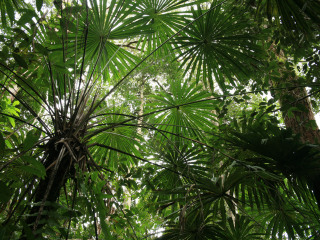 玛依谷地自然保护区