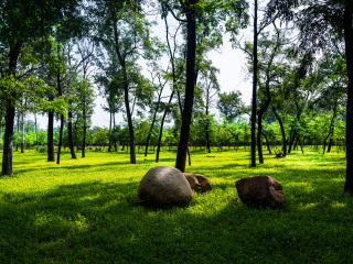 凤凰山国家森林公园