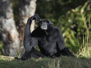 沙法里野生动物园