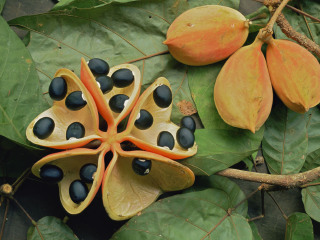 玛依谷地自然保护区