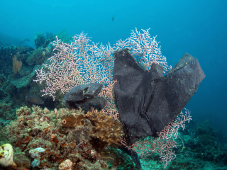 太平洋海底世界