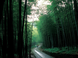 杭州临安白水涧