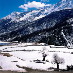 白茫雪山