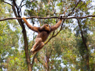 香江野生动物世界