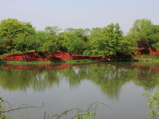 杭州西溪湿地风景区