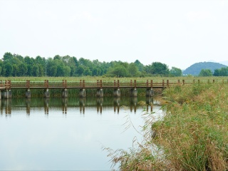 呼兰河口湿地风景区
