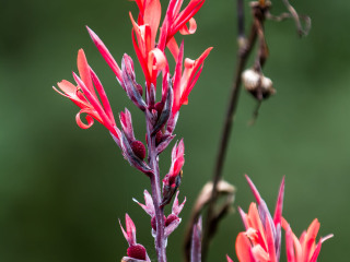 广州永乐绿色生态农庄