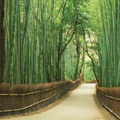 岚山公园