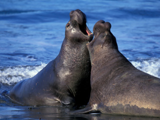 天涯热带海洋动物园