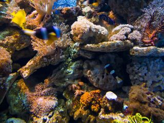 老虎滩极地海洋动物馆