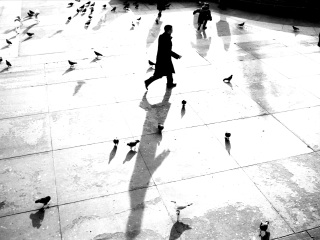 特拉法尔加广场