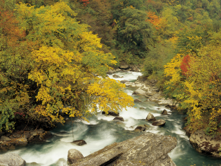四川卧龙国家级自然保护区