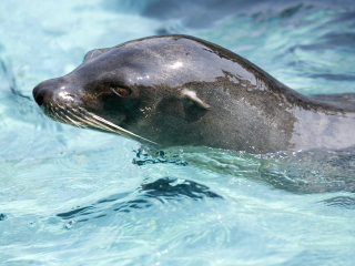 天涯热带海洋动物园