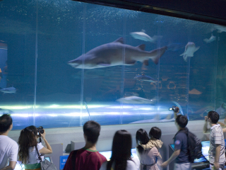 大连圣亚海洋世界