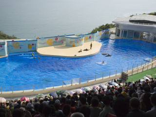 大连圣亚海洋世界