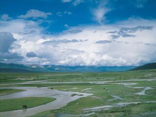 当周草原