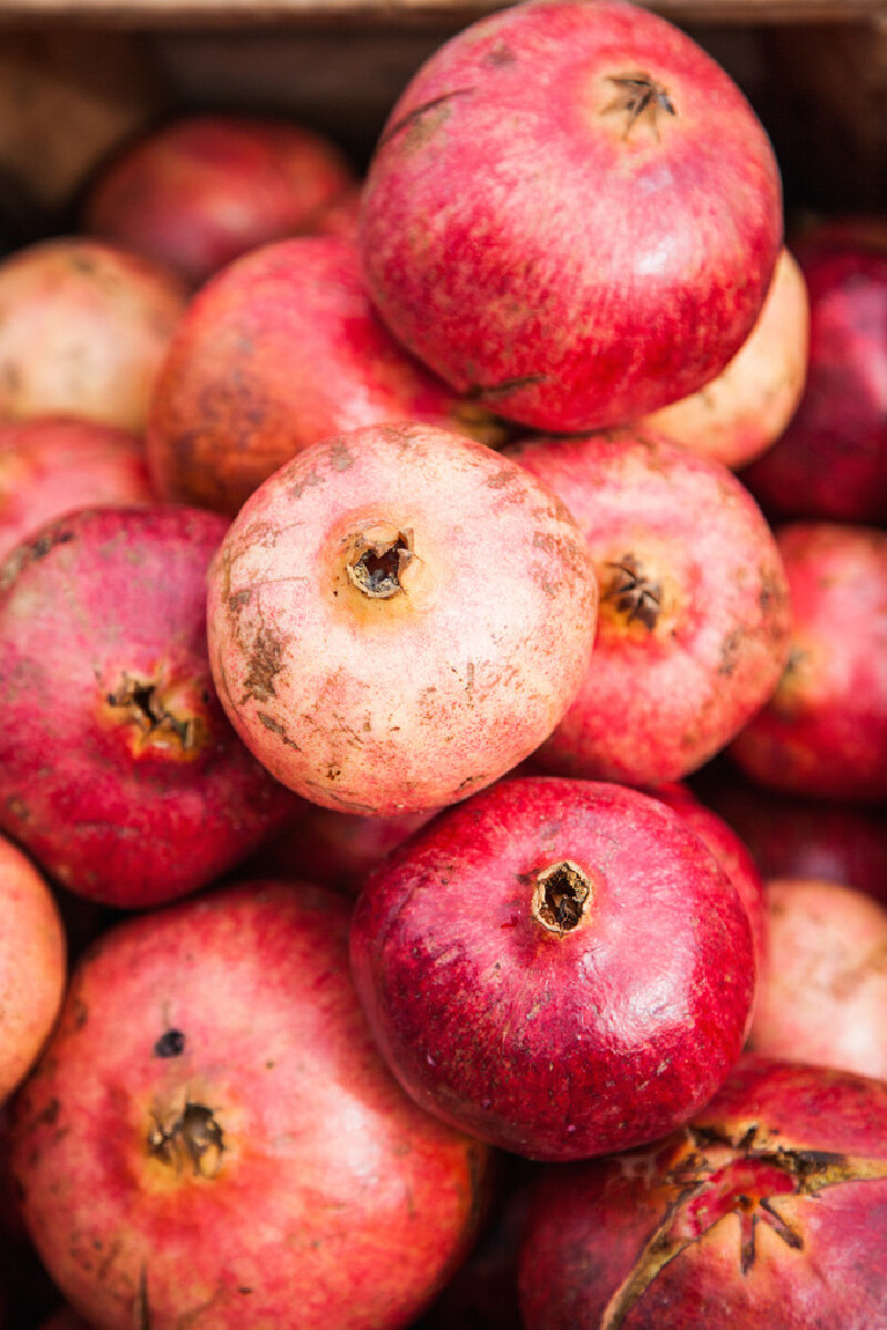 摩洛哥的一千零一个故事