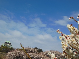 大阪城天守阁