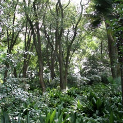 武汉植物园