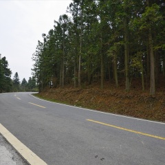 仙女山
