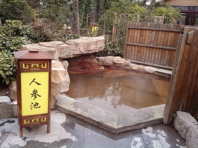 泡无锡绿羊温泉——恐龙时代之水  宿景区温泉度假酒店 立减3 满意度