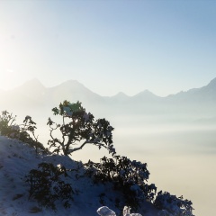 牛背山
