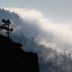 牛背山