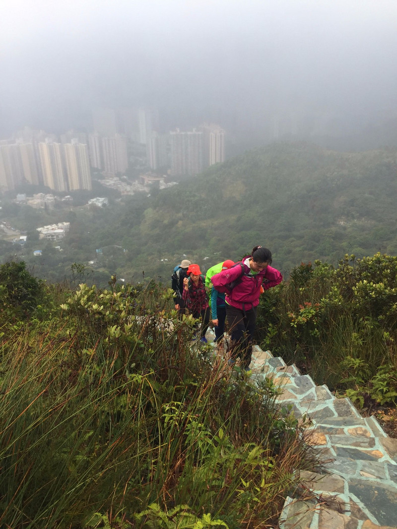 香港郊遊(一)——雨戰黃牛山