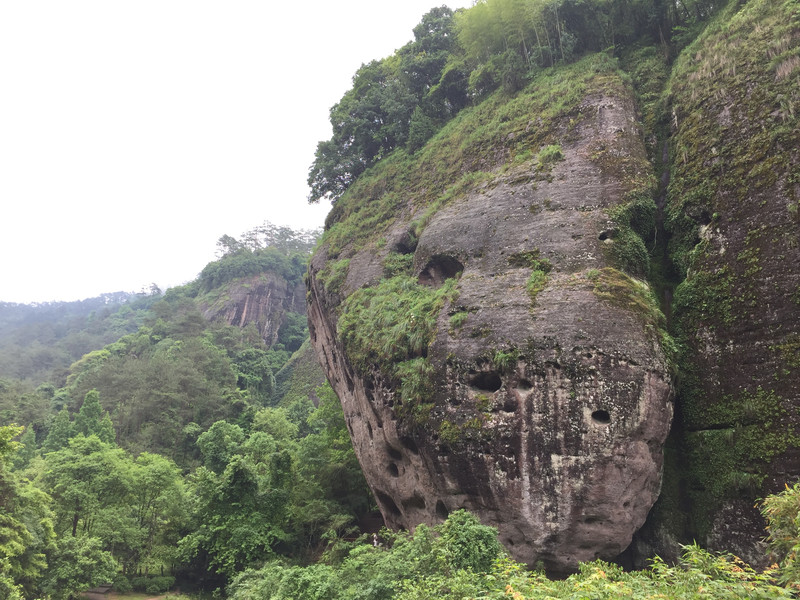 山姓全国有多少人口_山东出现肺炎疫情分布图 全国肺炎疫情最新分布图 山东(3)