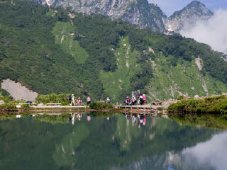 弄岗国家级自然保护区