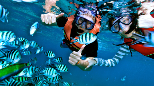  马来西亚热浪岛夏日2晚3日游>拉古娜(夏日么么茶)(当地游)__出发_途