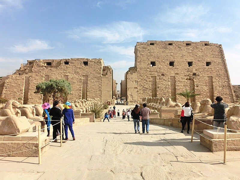 埃及,三口之家的奔波之旅