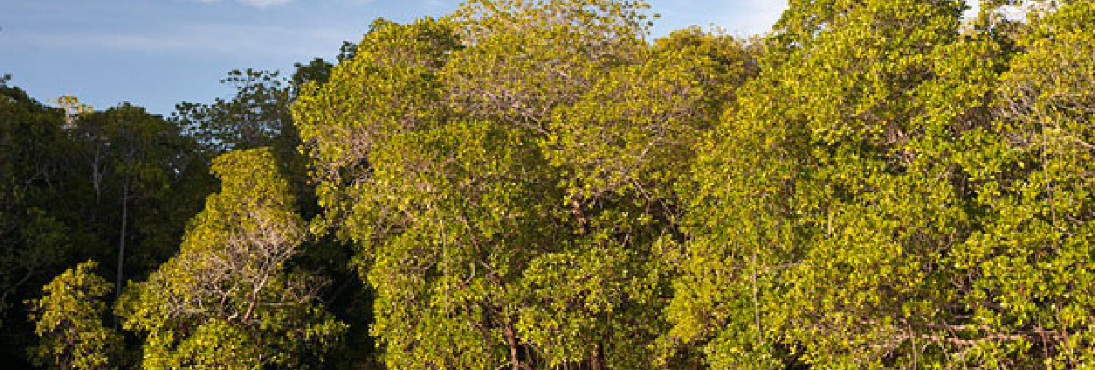 【2019】火烧屿生态乐园旅游攻略_火烧屿生态