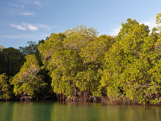 火烧屿生态乐园