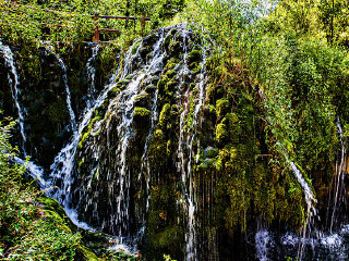 郑州市森林公园