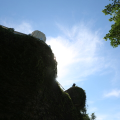 风景