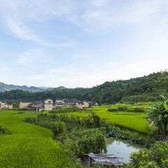 风景