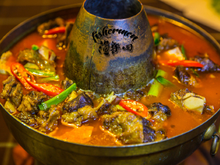  千岛湖春季踏青赏花-中心湖区-森林氧吧自驾3日游>宿千岛湖绿城度假