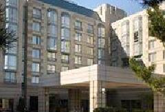 埃尔克格罗夫村喜来登套房酒店(Sheraton Suites Elk Grove Village) 酒店模块