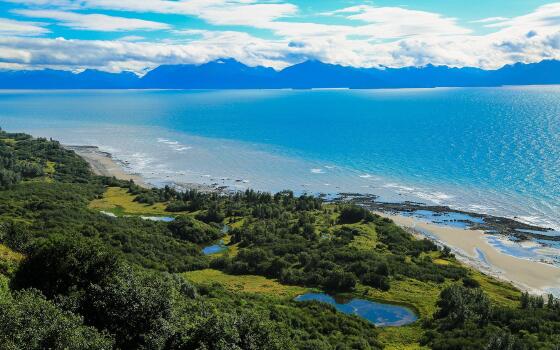 基奈半岛套房酒店