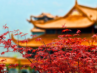 少林寺风景名胜区